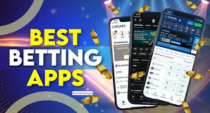 Todo lo que Debes Saber sobre Términos y Bonificaciones